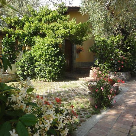 Residence E B&B Villamirella Palinuro Luaran gambar